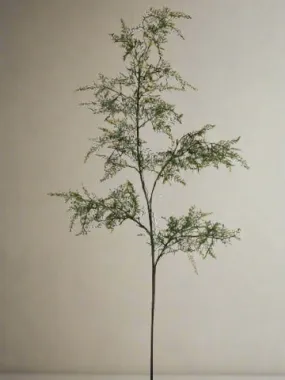 Green Baby's Tear Fern Spray 36"